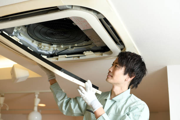 Best Air Vent Cleaning Services  in Cedarville, OH