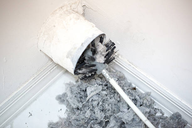 Best Affordable Duct Cleaning Services  in Cedarville, OH